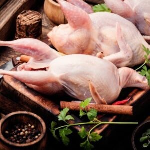 shutterstock 1312717019.jpg