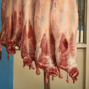 shutterstock 1616509159