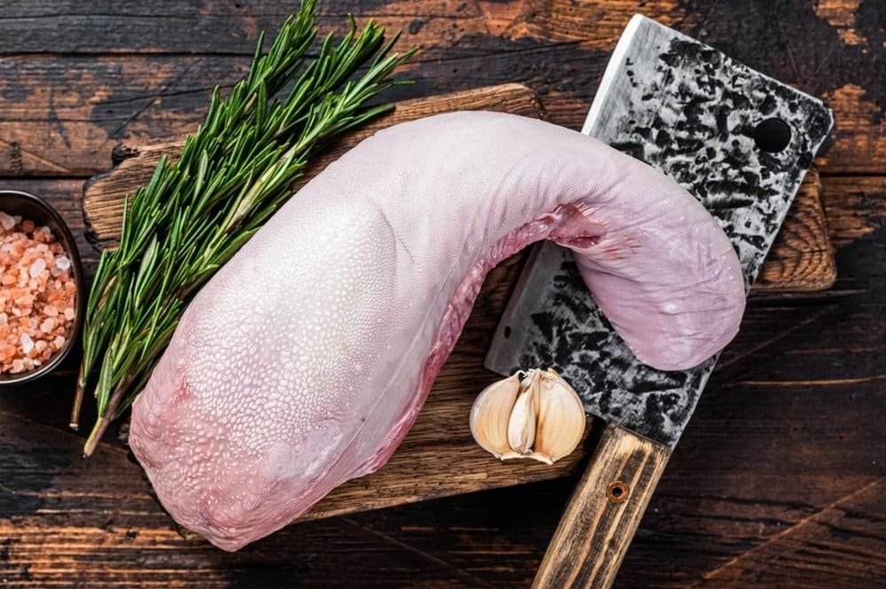 shutterstock 2081378053.jpg