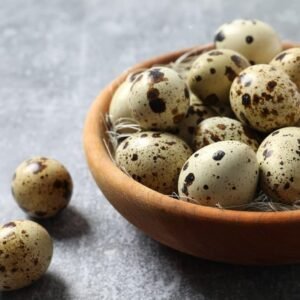 shutterstock 2442100703.jpg