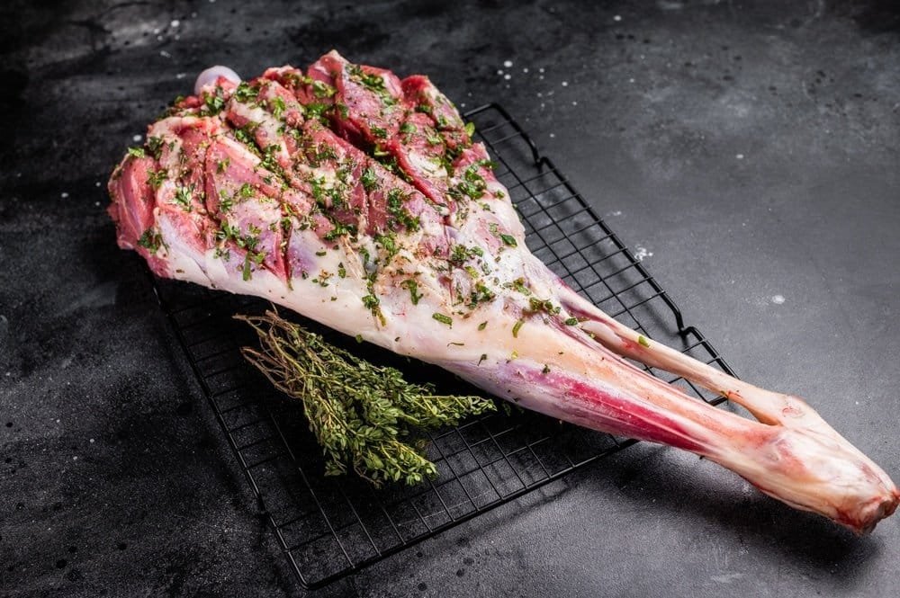 shutterstock 2576248573.jpg